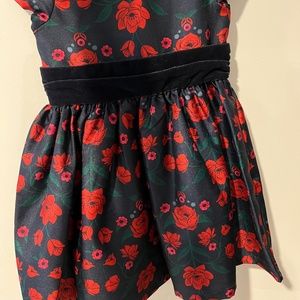 Gymboree Party Dress Size 3T